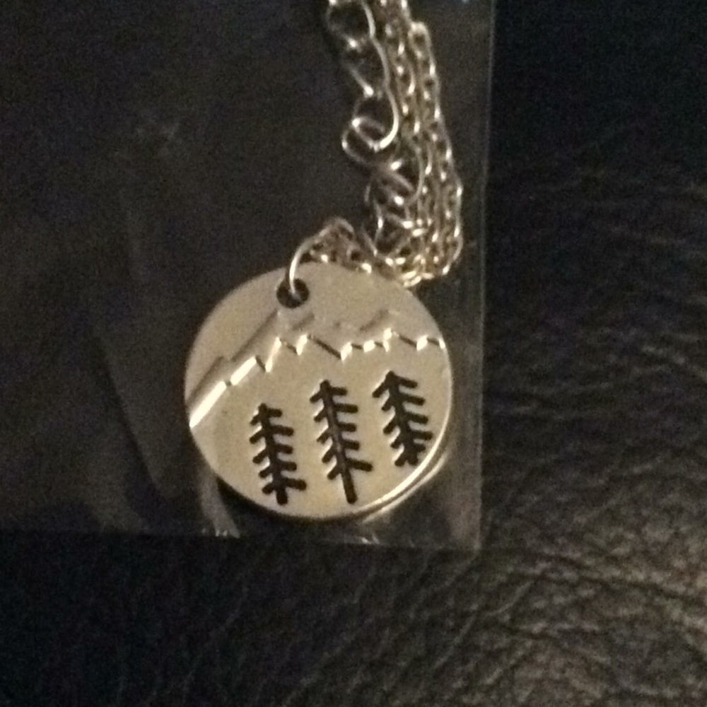 🎉CLOSING🎉3/$20 if bundled Pine mountain necklace
